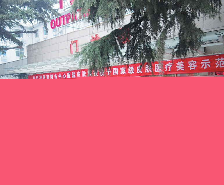 pfk125111129.jpg